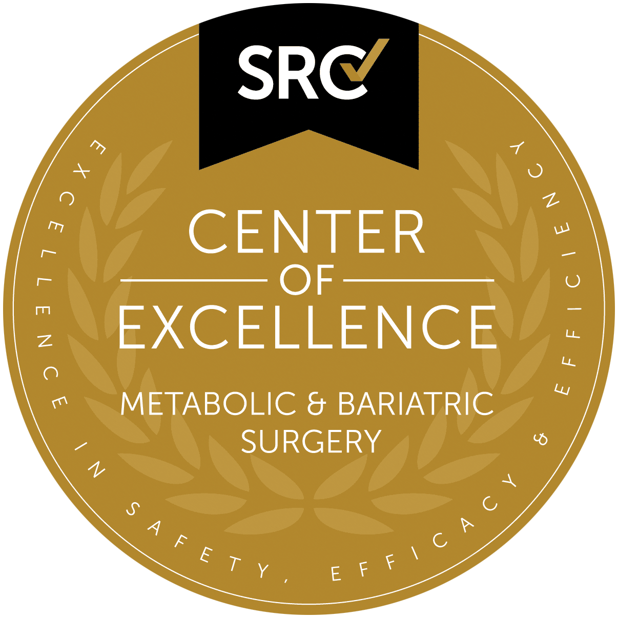Bariatric Center of Excellence (BCOE) from SRC in 2018